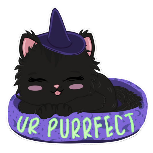 Sleepy Kitten ✨Pre-Order✨